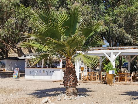 Camping El Torres - Camping Alicante - Image N°9