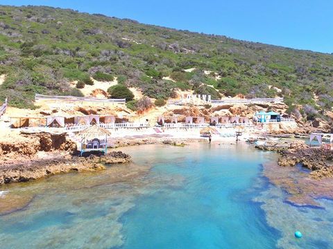 Camping Du Phacochère - Camping Zone Touristique du Nord - Image N°17