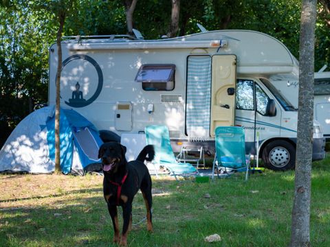 Club del Sole Adriatico Cervia Easy Village - Camping Ravenne - Image N°21