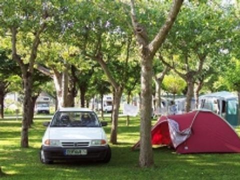 Emplacement - + 1 voiture + tente ou caravane + électricité
