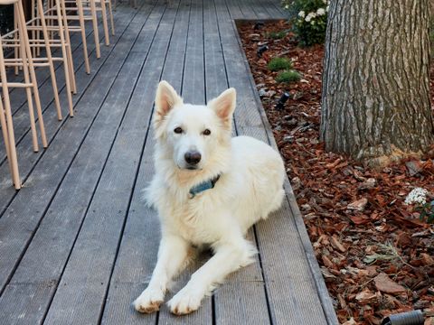 TAIGA Lake Caspe - Camping Saragosse - Image N°41