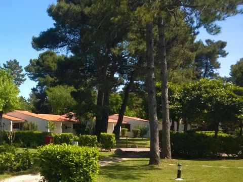 Residence Punta Spin - Camping Gorizia - Image N°32