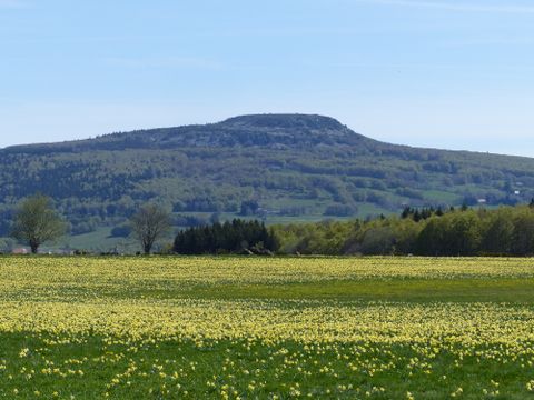Domaine des Vans - Camping Ardèche