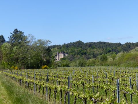 Domaine des Vans - Camping Ardèche - Image N°9