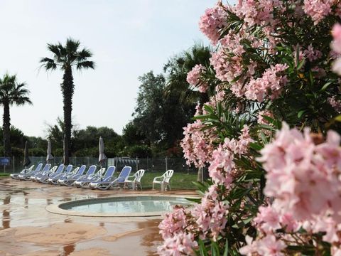 Club Belambra Le Vidourle - Camping Gard - Image N°6
