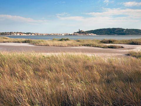 Club Belambra Les Ayguades - Camping Aude - Image N°22