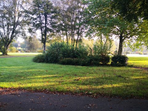 Camping de L'Etang - Camping Morbihan - Image N°2