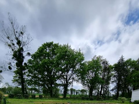 Camping de L'Etang - Camping Morbihan - Image N°32