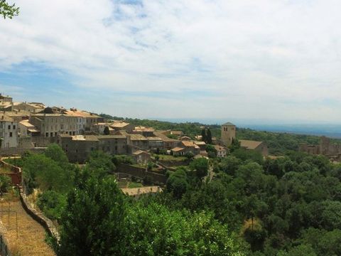 VVF Villages - Le Pays Cathare - Saissac - Camping Aude - Image N°13