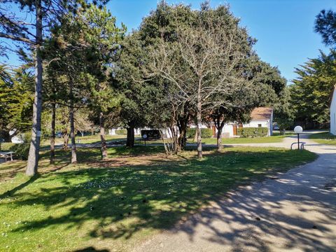 Résidence Les Sables Vignier  - Camping Charente-Maritime - Image N°5