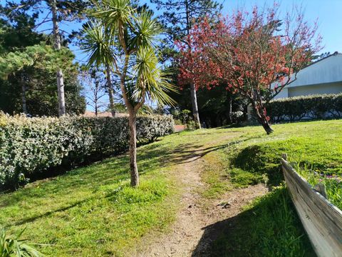 Résidence Les Sables Vignier  - Camping Charente-Maritime - Image N°4
