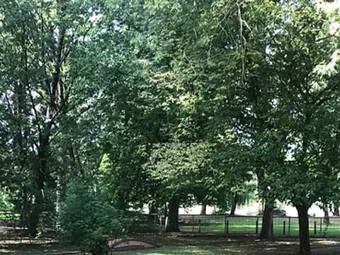 Camping La Nouvelle Plage - Camping Indre-et-Loire - Image N°3