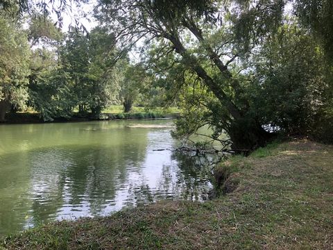 Camping La Nouvelle Plage - Camping Indre-et-Loire - Image N°8