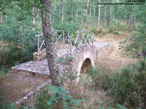 Camping Las Cavenes - Camping Salamanque - Image N°20