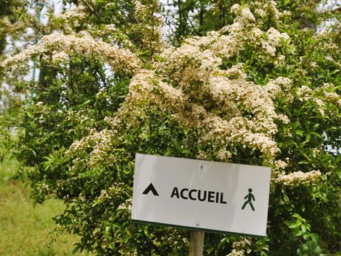 Résidence Le Domaine des Cazelles - Camping Lot - Image N°15