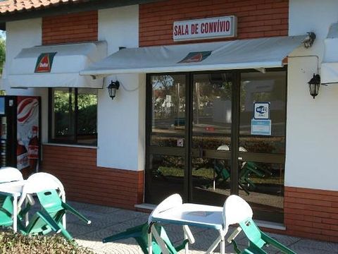 Camping Evora - Camping Alentejo - Image N°13