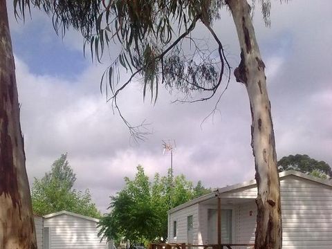 MOBILHOME 5 personnes - Neptuno