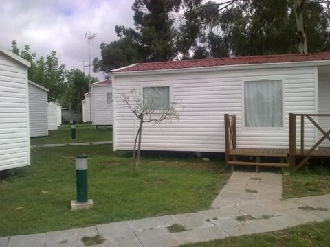 Camping Evora - Camping Alentejo - Image N°19