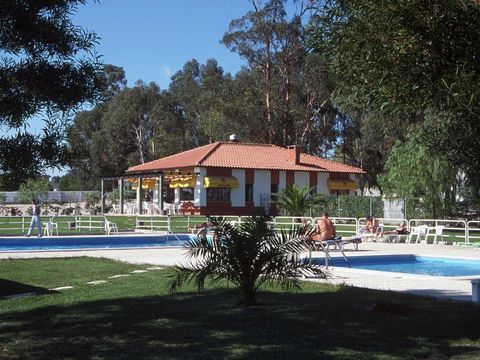 Camping Evora - Camping Alentejo - Image N°7