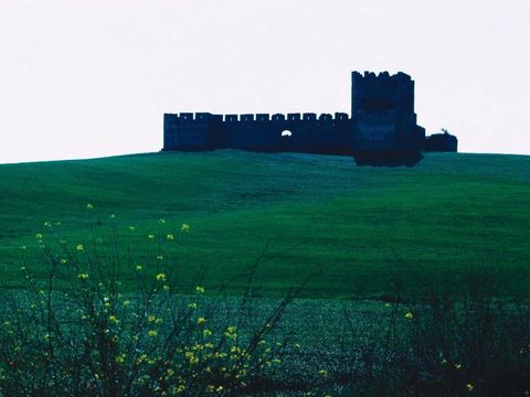 Camping Evora - Camping Alentejo - Image N°21