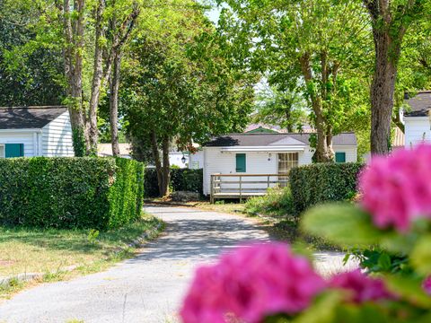 Camping les Gros Joncs - Camping Charente-Maritime - Image N°8