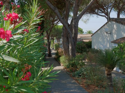 Les Résidences du Colombier - Camping Var - Image N°34