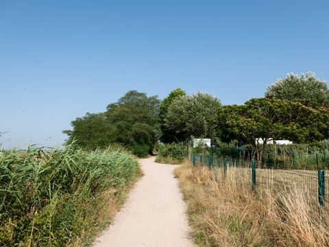 Routes du Monde - Camping de La Hume - Camping Gironde - Image N°12