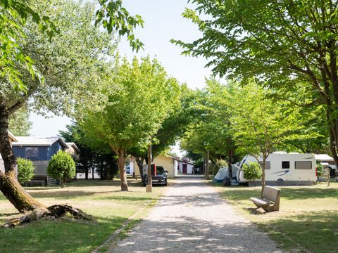 Routes du Monde - Camping de La Hume - Camping Gironde - Image N°5