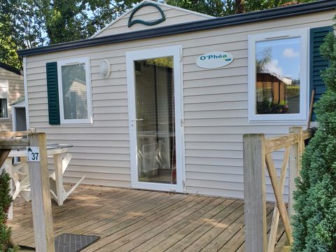 Camping ATC Routes du Monde Saint Pierre d'Oléron - Camping Charente-Maritime - Image N°7