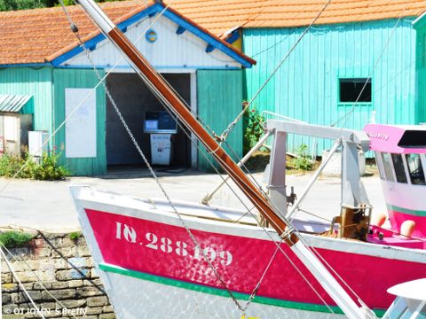 Camping ATC Routes du Monde Saint Pierre d'Oléron - Camping Charente-Maritime - Image N°4