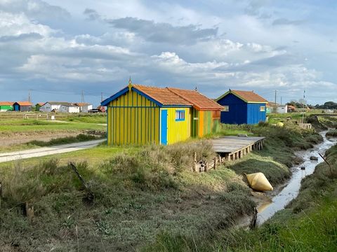Camping ATC Routes du Monde Saint Pierre d'Oléron - Camping Charente-Maritime - Image N°20