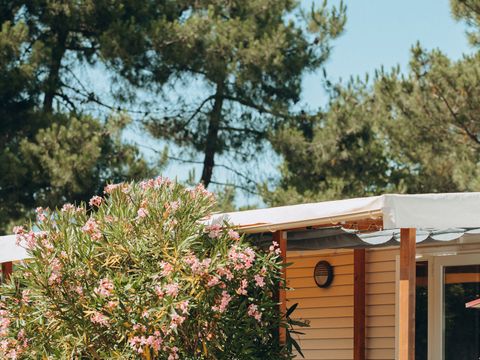 Camping ATC Routes du Monde Saint Pierre d'Oléron - Camping Charente-Maritime - Image N°13