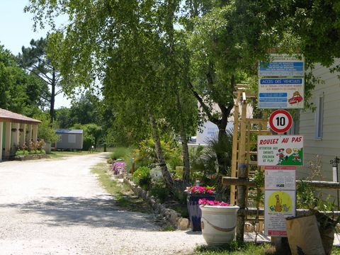 Camping ATC Routes du Monde Saint Pierre d'Oléron - Camping Charente-Maritime - Image N°13