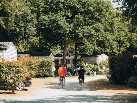 Camping ATC Routes du Monde Saint Pierre d'Oléron - Camping Charente-Maritime - Image N°12
