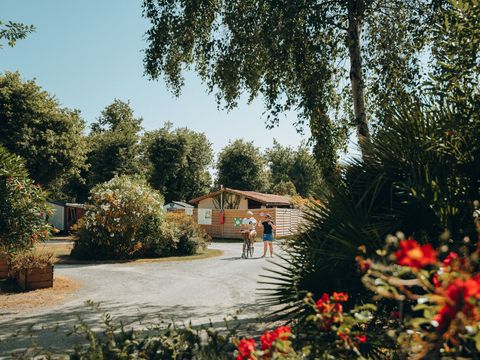 Camping ATC Routes du Monde Saint Pierre d'Oléron - Camping Charente-Maritime - Image N°14