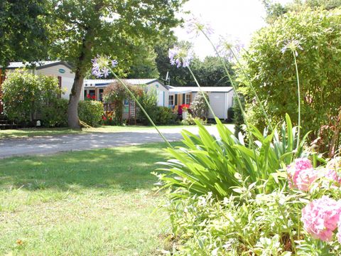 Camping ATC Routes du Monde Saint Pierre d'Oléron - Camping Charente-Maritime - Image N°2