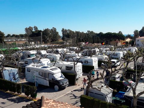 Camping Riberamar - Camping Castellón - Image N°12