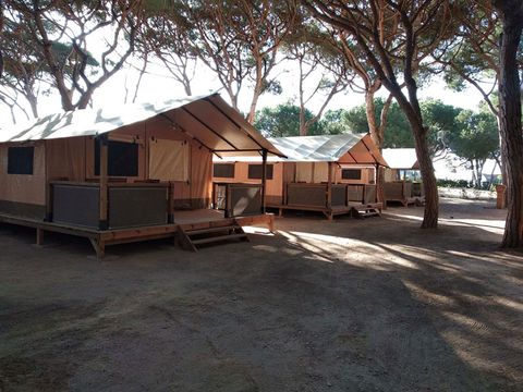 Tente en toile et en bois 5 personnes - VICTORIA (2R 4+1P)