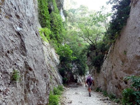 CAMPING LE MOULIN A VENT - Camping Vaucluse - Image N°34