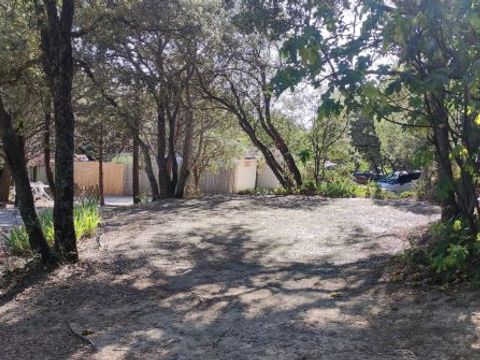 CAMPING LE MOULIN A VENT - Camping Vaucluse - Image N°6