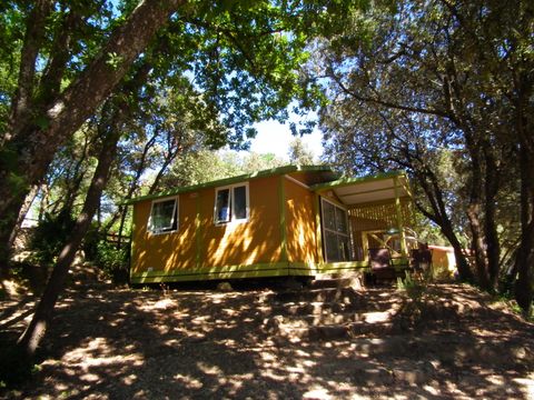 CAMPING LE MOULIN A VENT - Camping Vaucluse - Image N°3