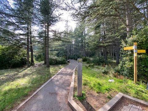 CAMPING LE MOULIN A VENT - Camping Vaucluse - Image N°32