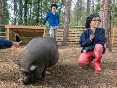 Center Parcs - Domaine Le Bois aux Daims - Camping Vienne - Image N°26