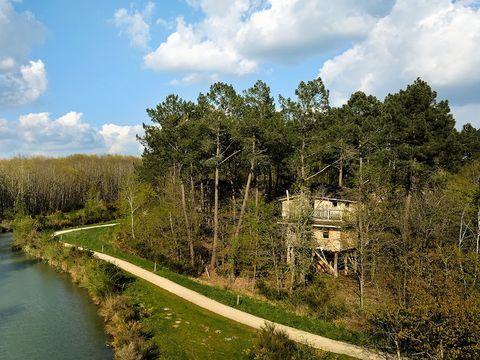 Center Parcs - Domaine Le Bois aux Daims - Camping Vienne - Image N°10
