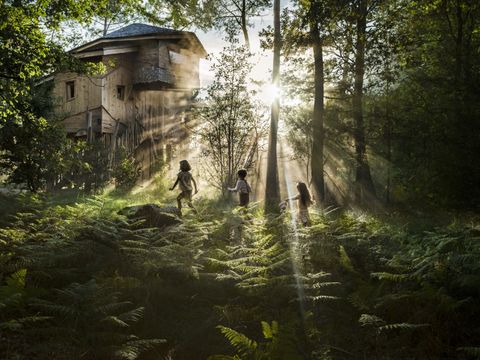 Center Parcs - Domaine Le Bois aux Daims - Camping Vienne - Image N°8
