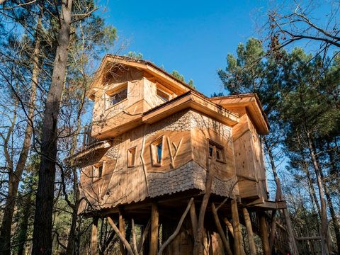 Center Parcs - Domaine Le Bois aux Daims - Camping Vienne - Image N°9