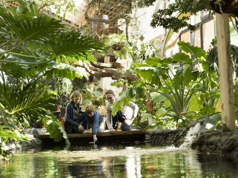 Center Parcs - Domaine Le Bois aux Daims - Camping Vienne - Image N°36
