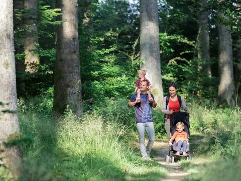 Center Parcs Les Trois Forêts - Camping Moselle - Image N°16