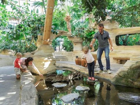 Center Parcs Les Trois Forêts - Camping Moselle - Image N°6