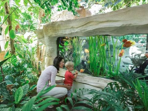 Center Parcs Les Trois Forêts - Camping Moselle - Image N°22